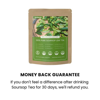 Organic Soursop Leaf Tea