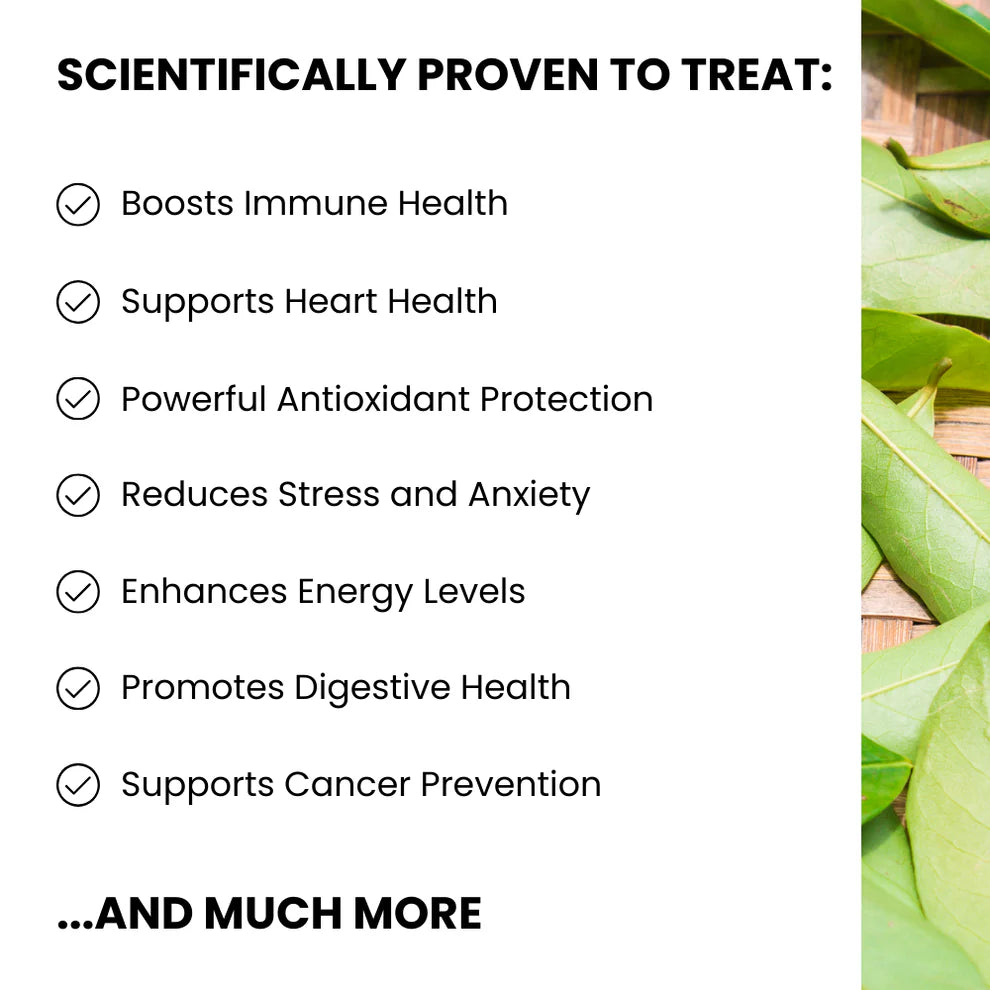 Organic Soursop Leaf Tea