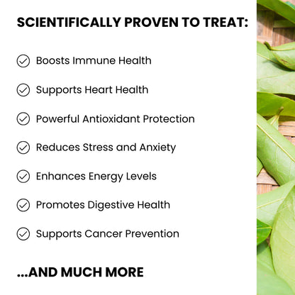 Organic Soursop Leaf Tea