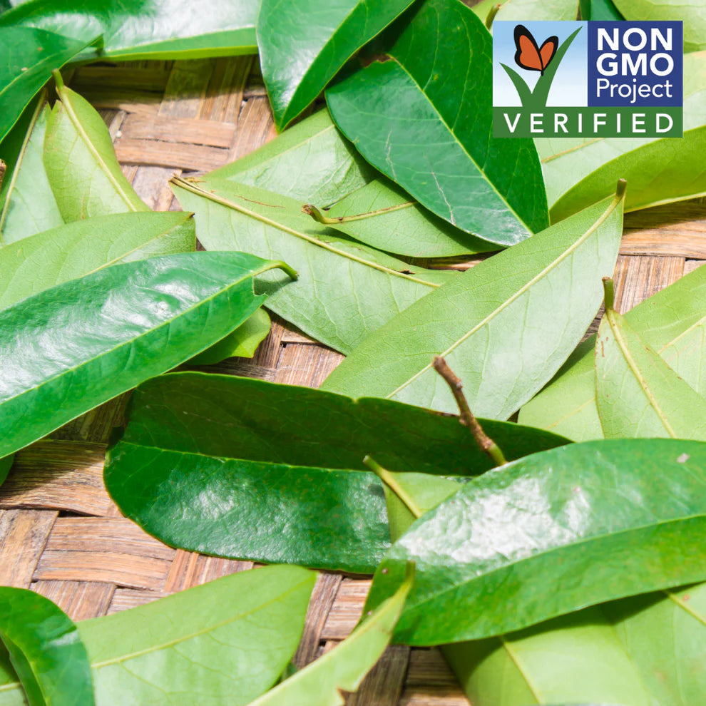 Organic Soursop Leaf Extract Tea
